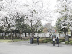 入学式