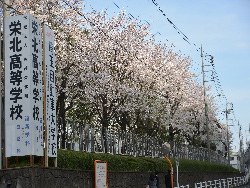 入学式