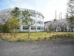 入学式