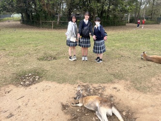 2026修学旅行3班写真