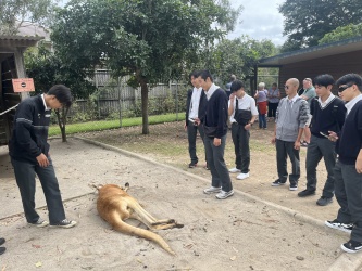2026修学旅行3班写真