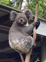 オーストラリア修学旅行1班
