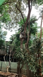 オーストラリア修学旅行2班