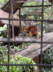 オーストラリア修学旅行2班