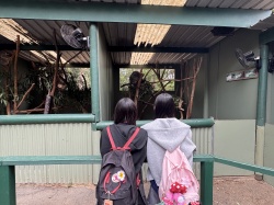 オーストラリア修学旅行3班