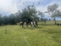 オーストラリア修学旅行1班