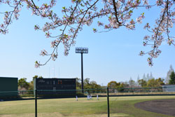 高校野球